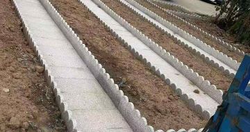 广东芝麻白花边石
